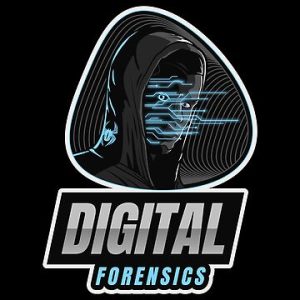 Tradecraft and Tools in Digital Forensics: An Overview of Essential Capabilities